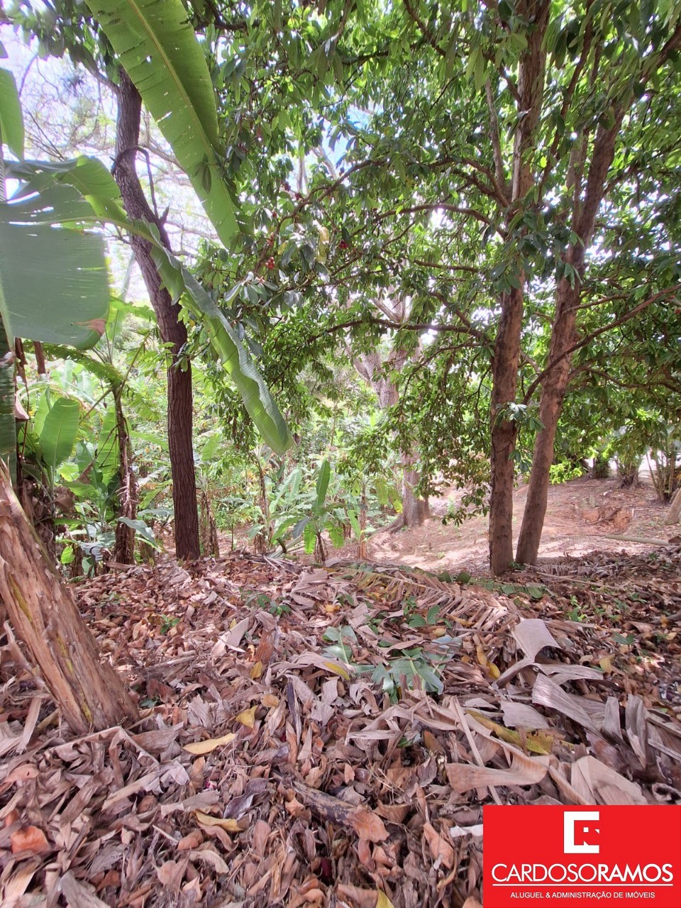 Terreno, 7100 m² - Foto 7