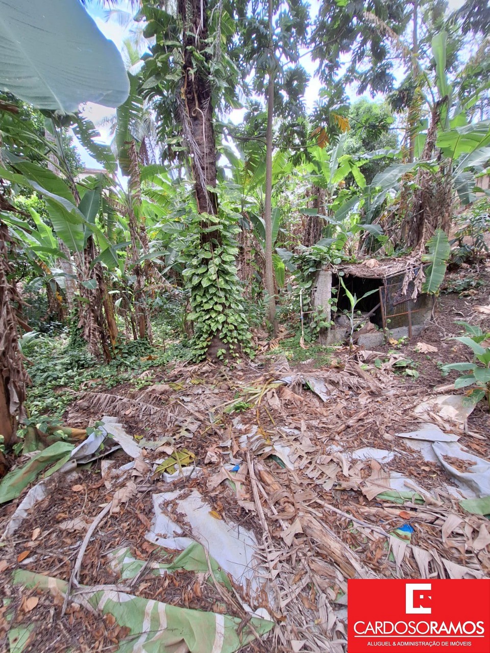 Terreno, 7100 m² - Foto 10