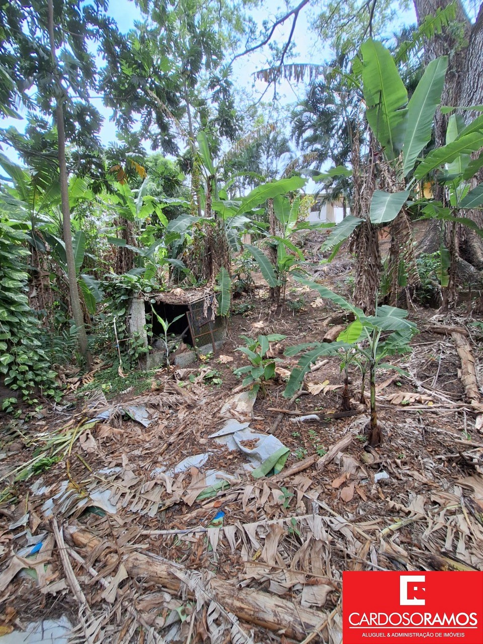 Terreno, 7100 m² - Foto 13