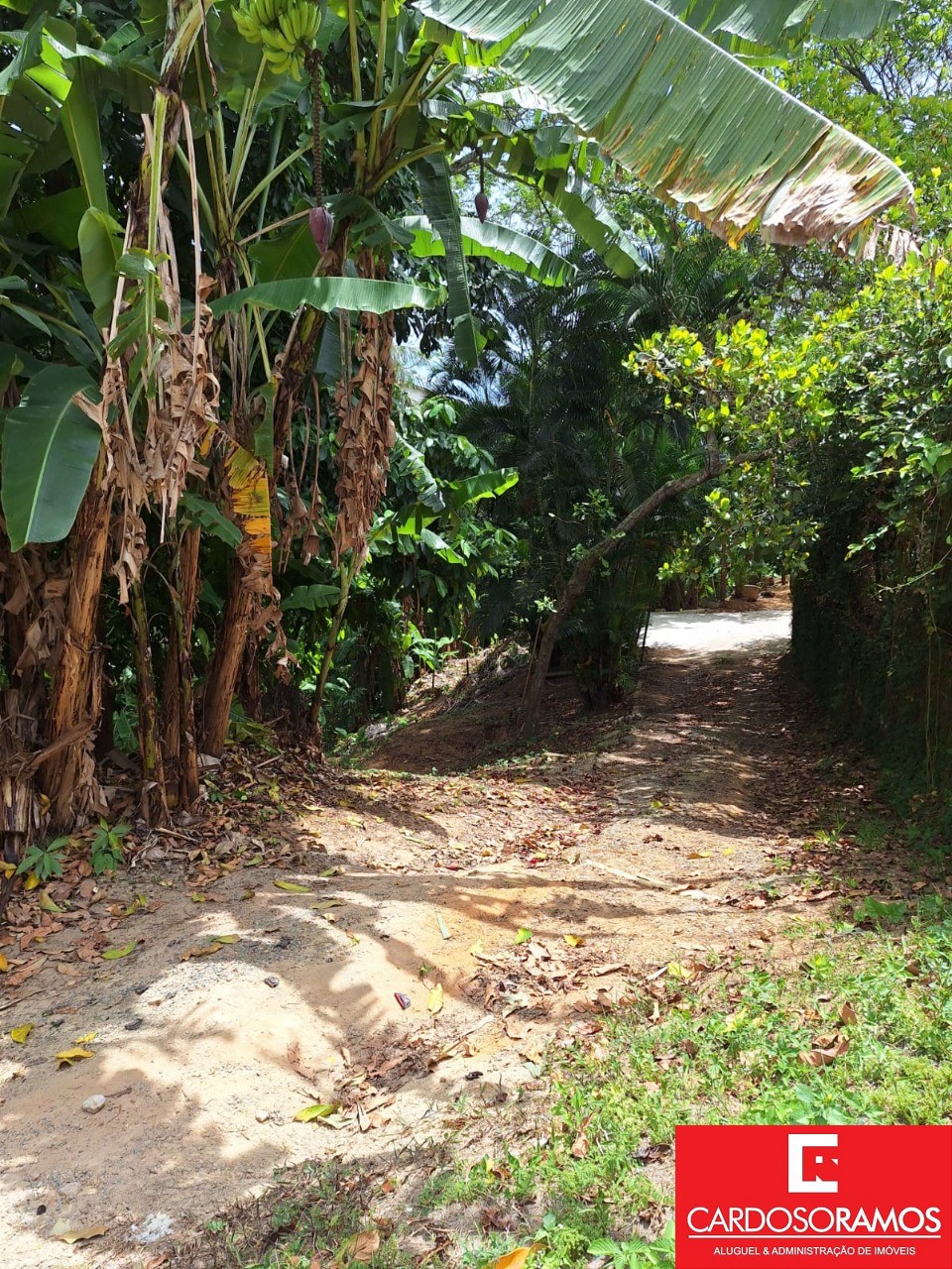 Terreno, 7100 m² - Foto 5