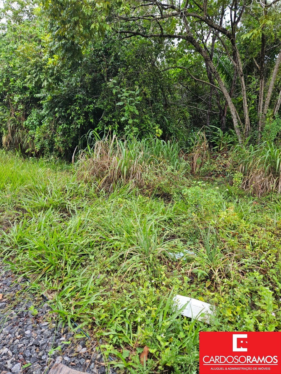 Terreno, 1000 m² - Foto 3