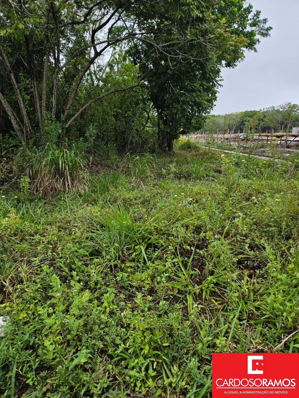 Terreno, 1000 m² - Foto 2