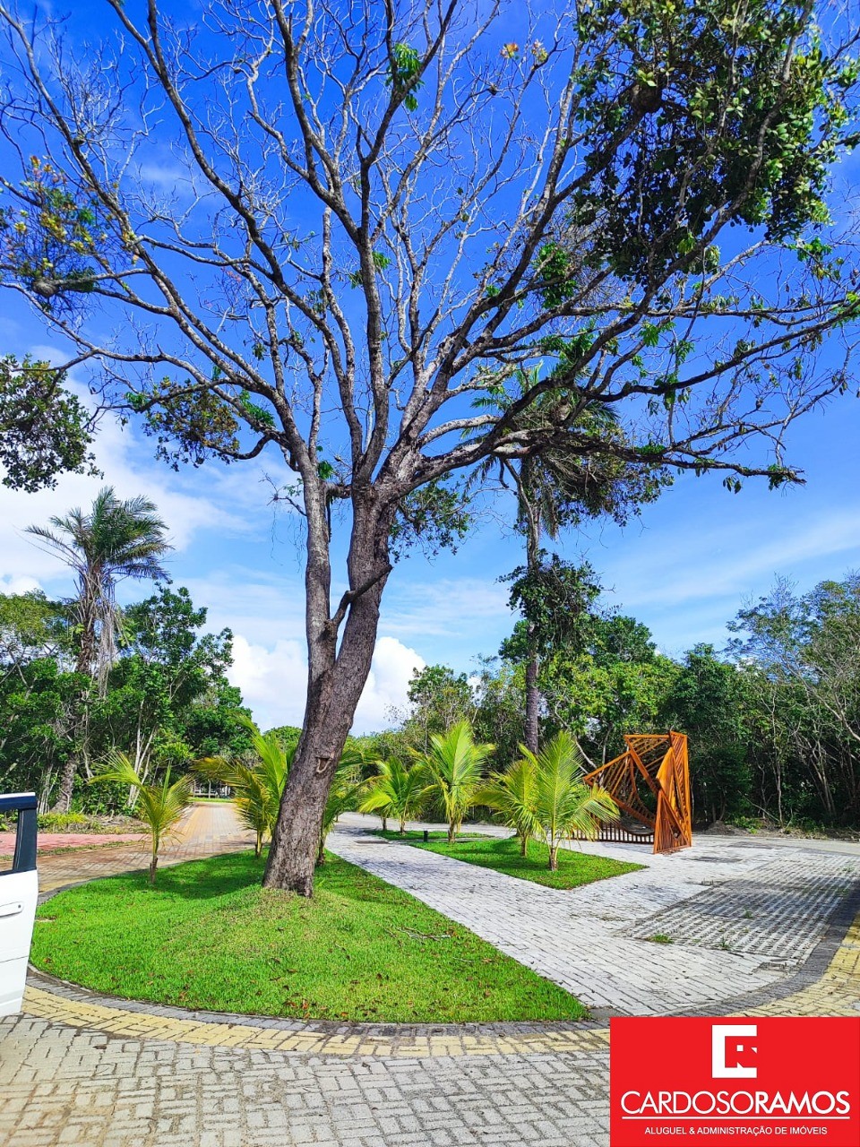 Terreno, 1000 m² - Foto 8