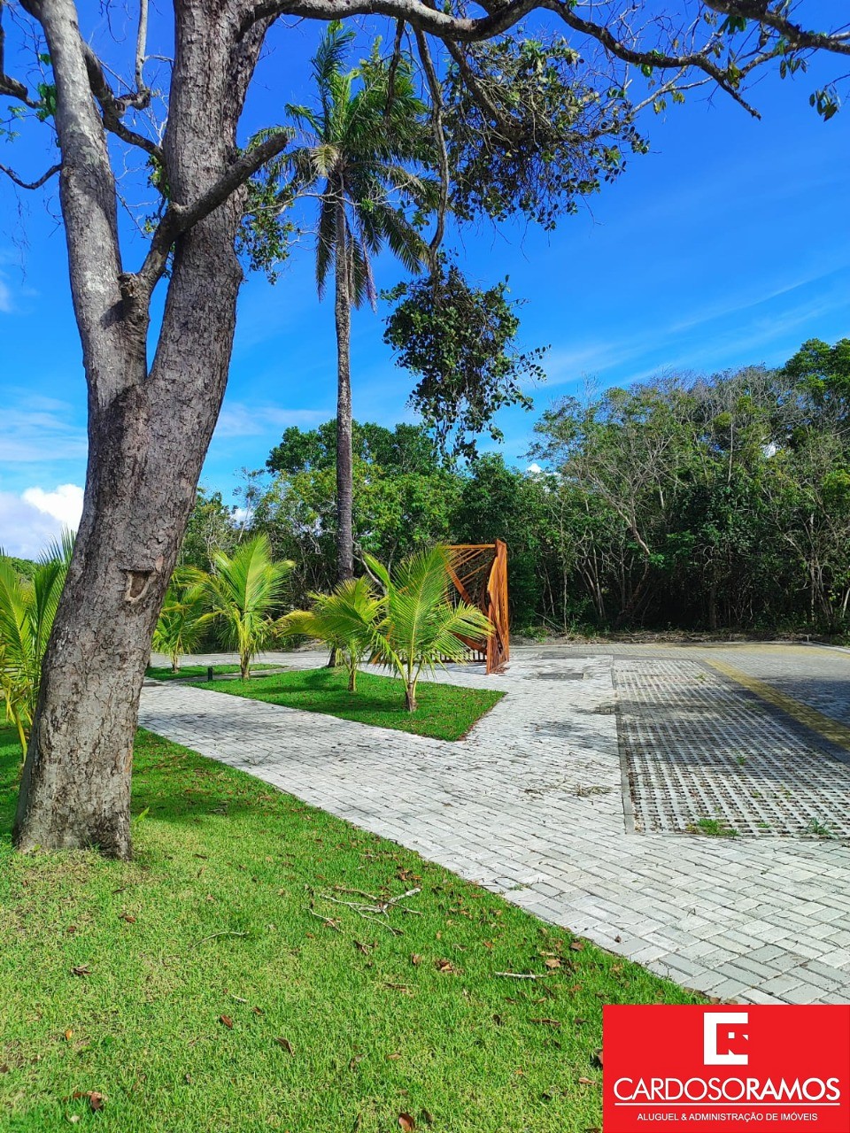 Terreno, 1000 m² - Foto 9