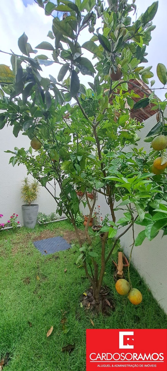 Casa, 3 quartos - Foto 37