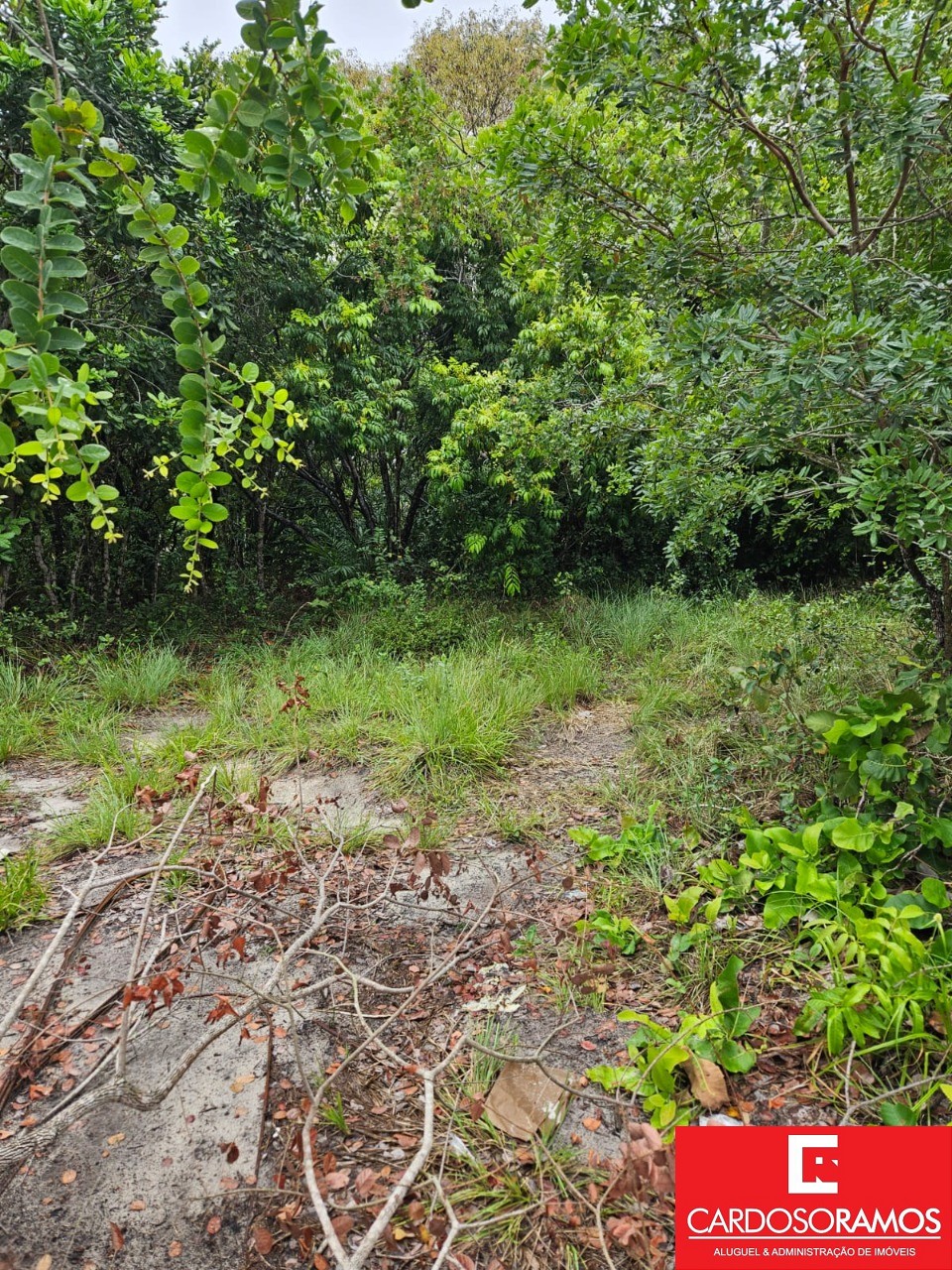 Terreno, 1000 m² - Foto 5