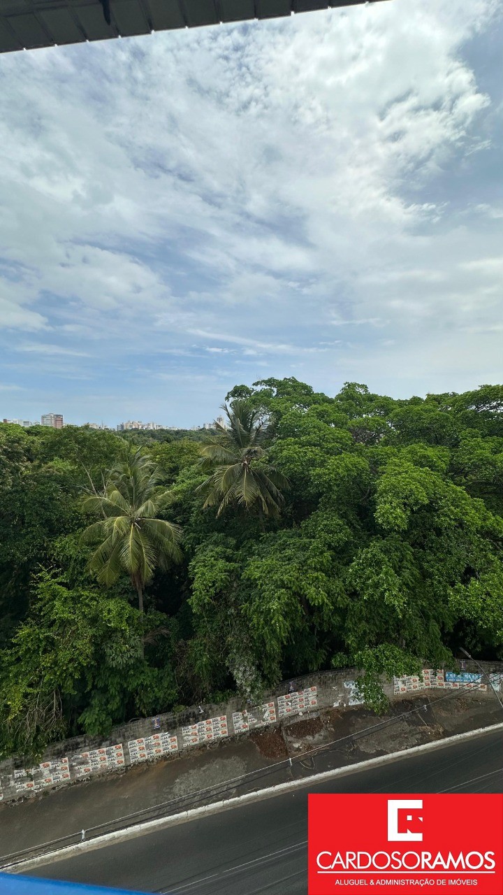 Apartamento - Parque bela vista