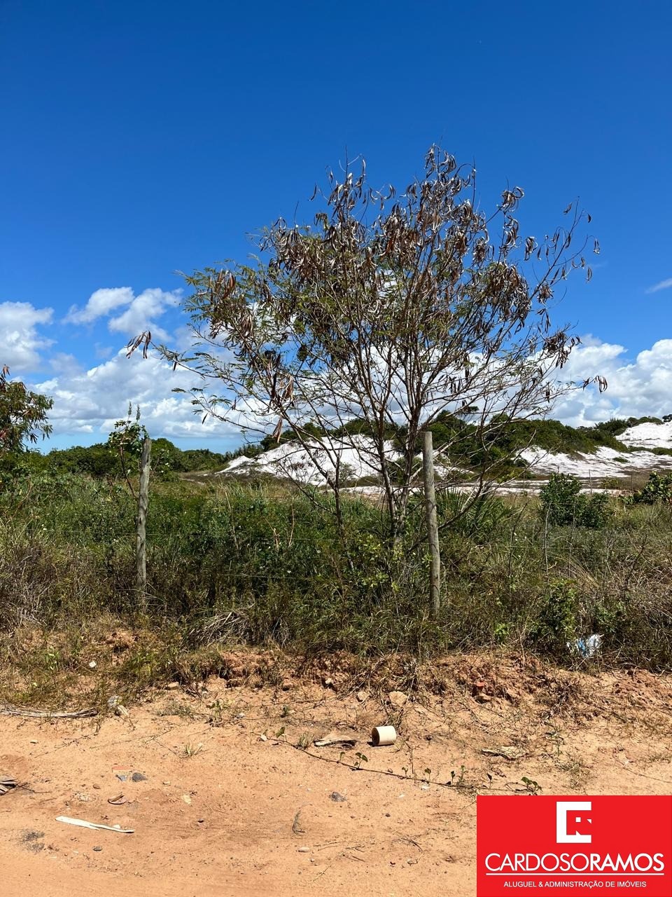 Terreno, 5000 m² - Foto 7