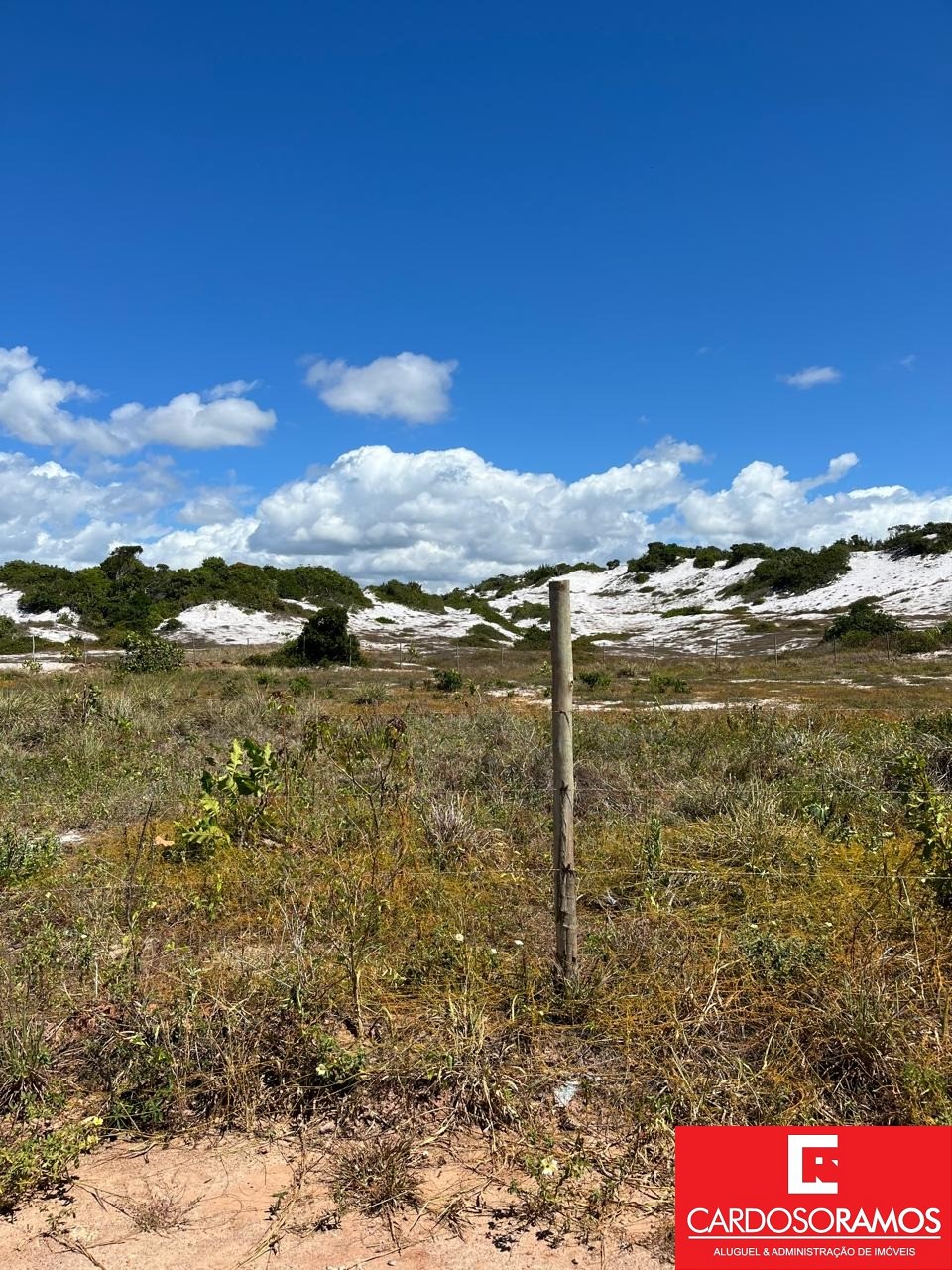 Terreno, 5000 m² - Foto 2