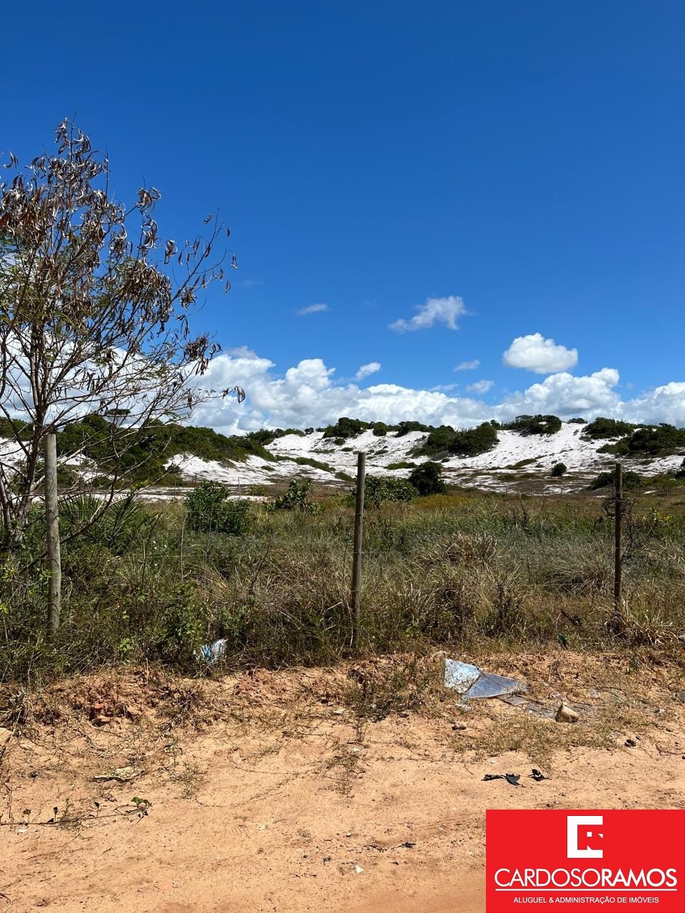 Terreno, 5000 m² - Foto 5