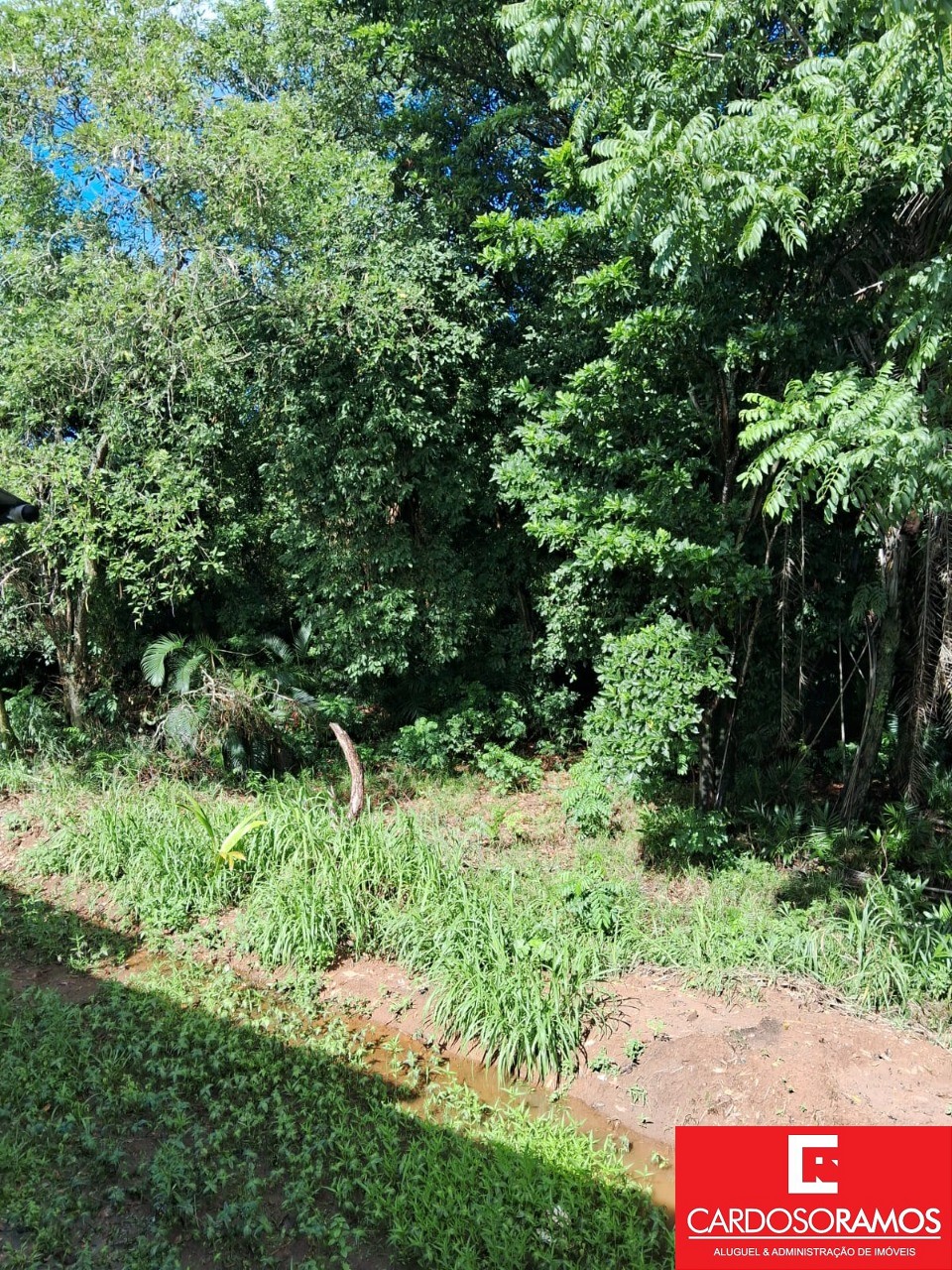 Casa - Centro