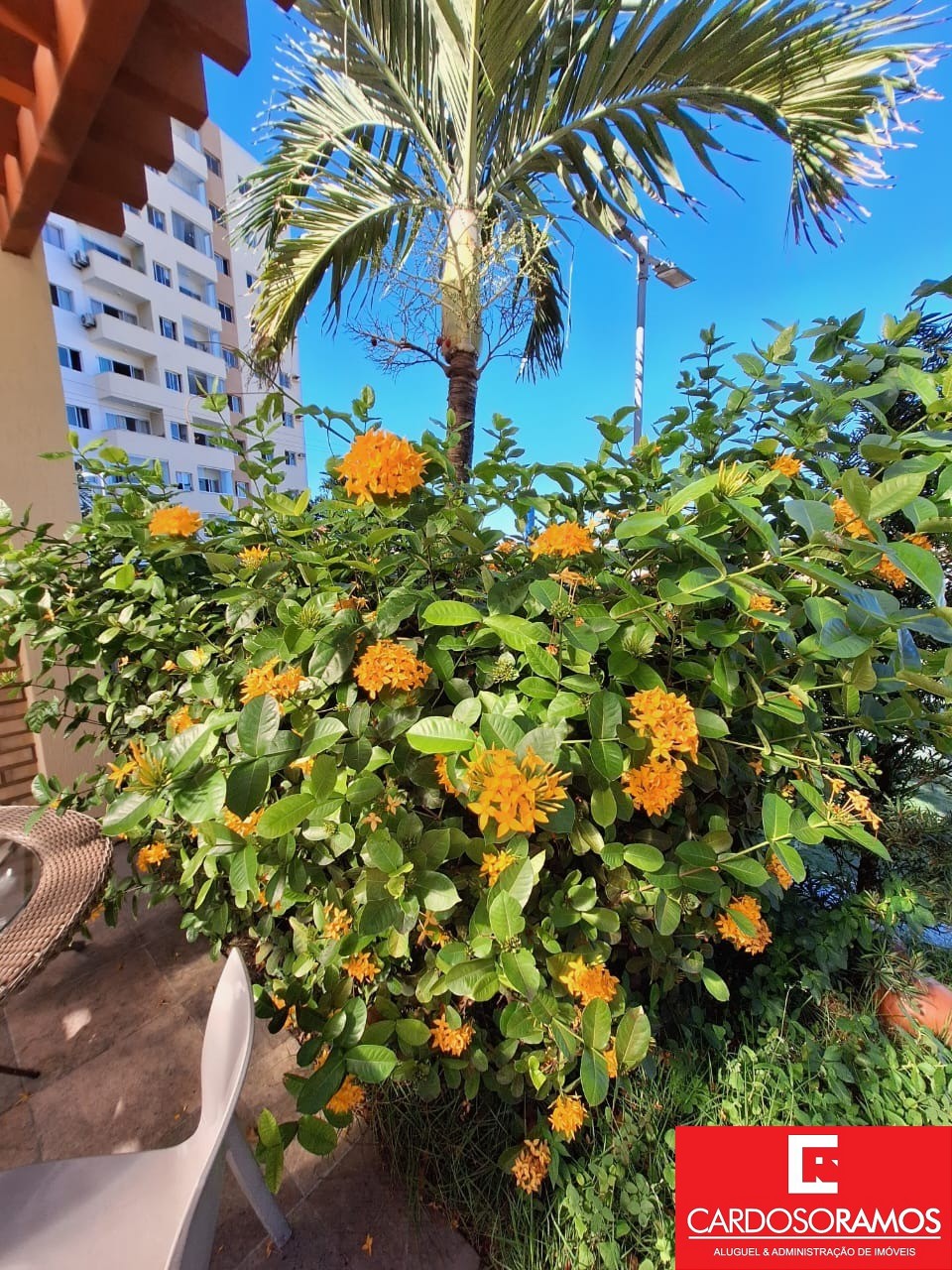 Apartamento - Estrada do côco