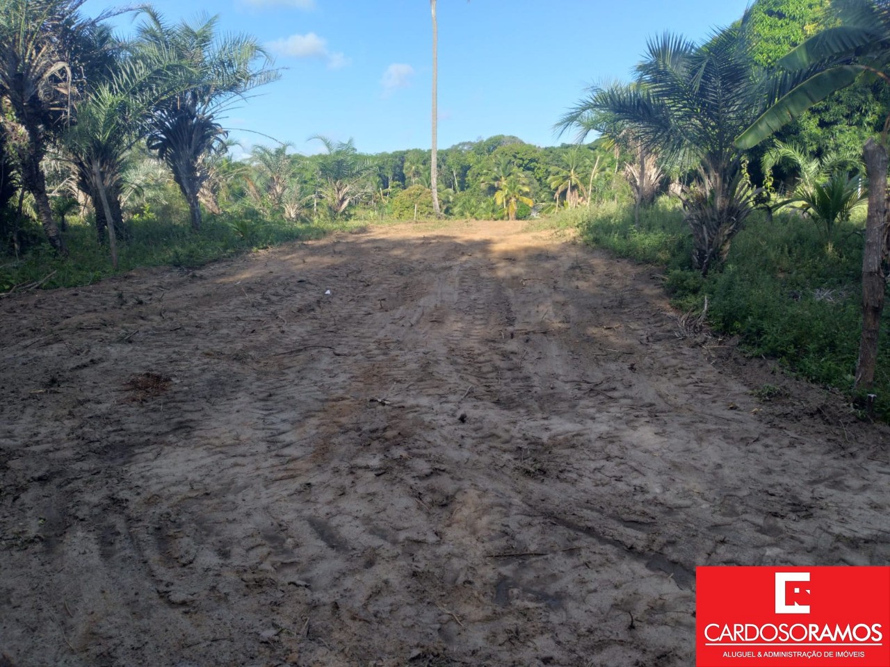 Terreno, 8600 m² - Foto 1