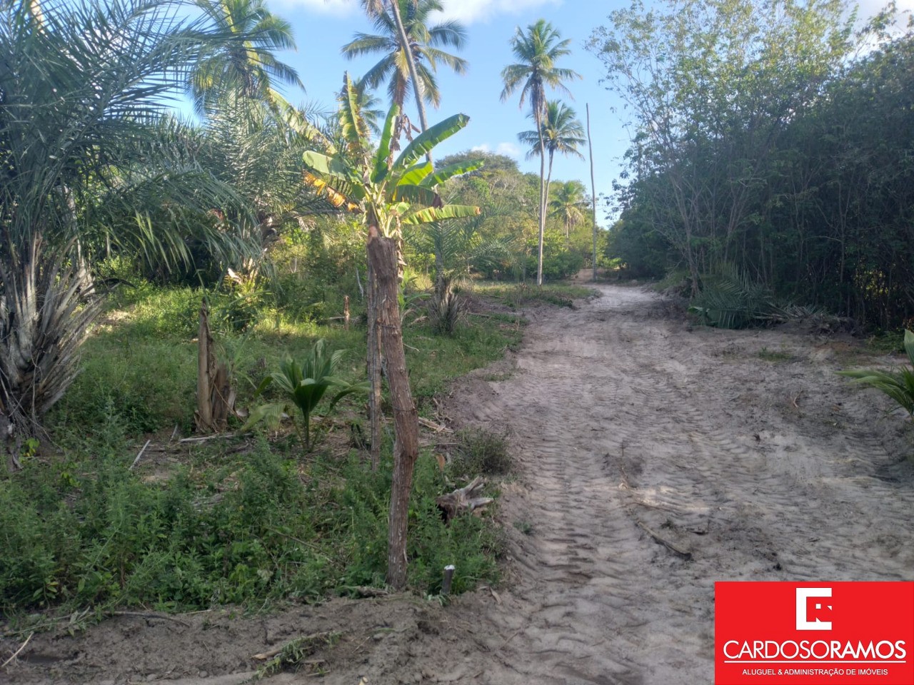 Terreno, 8600 m² - Foto 9