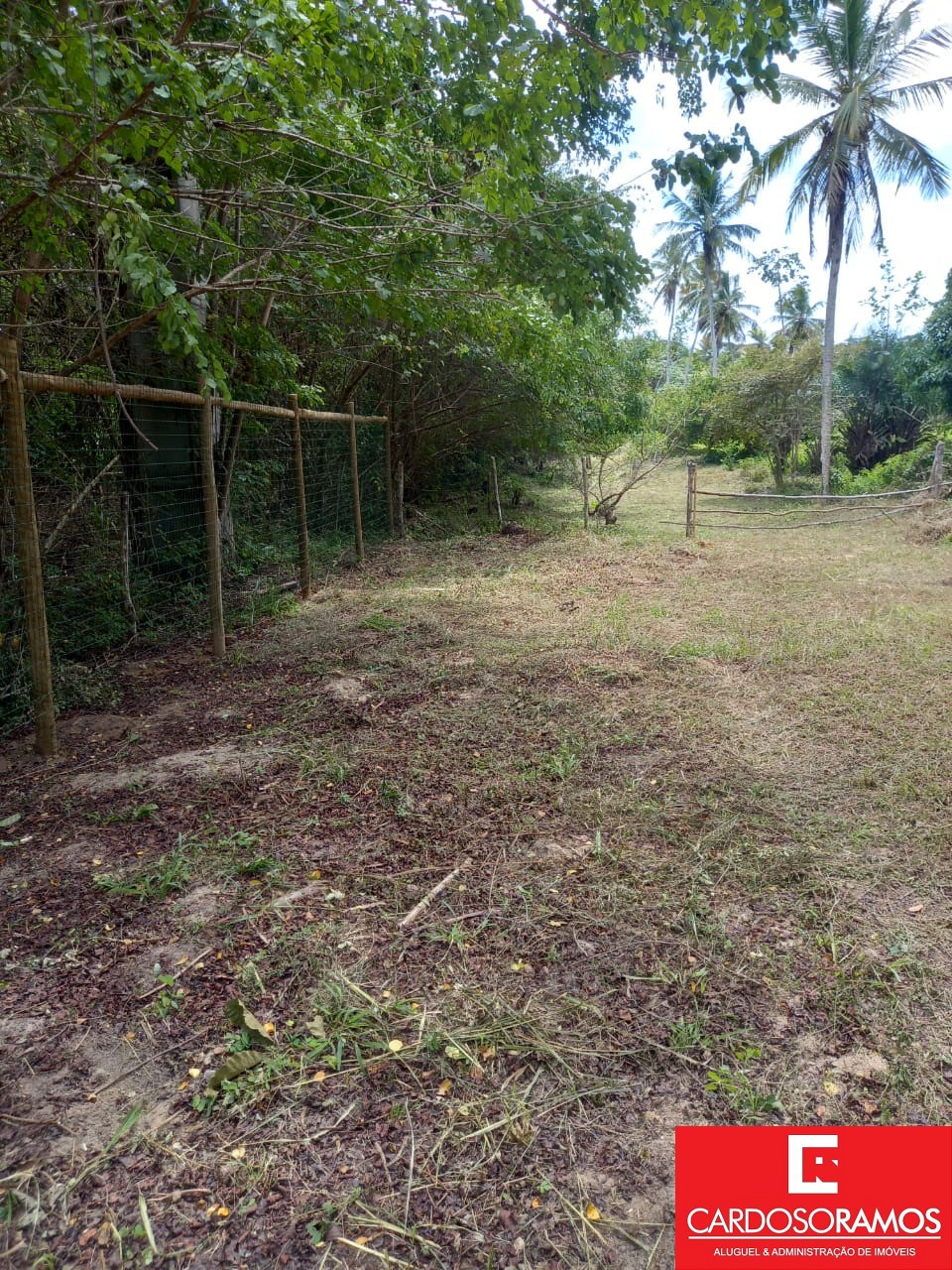 Terreno, 8600 m² - Foto 4