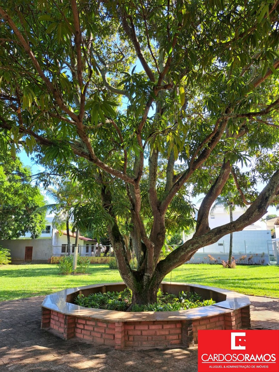 Terreno, 900 m² - Foto 13