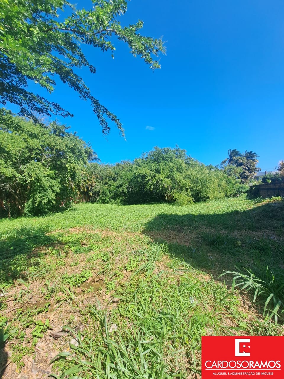 Terreno, 900 m² - Foto 5