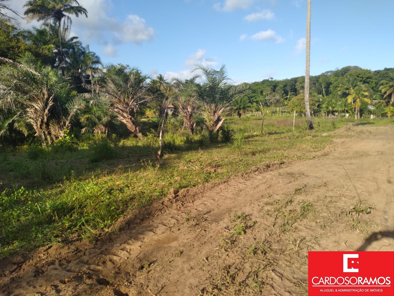 Terreno, 8600 m² - Foto 3