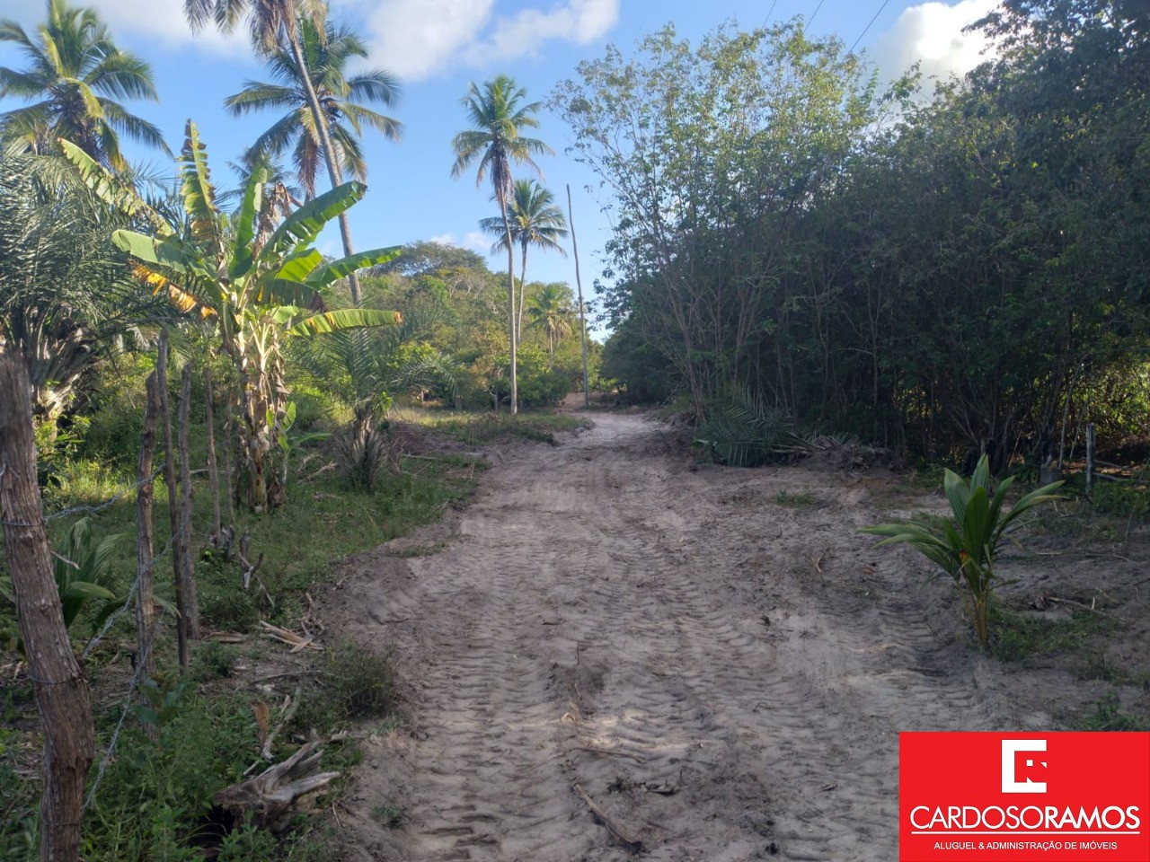 Terreno, 8600 m² - Foto 6