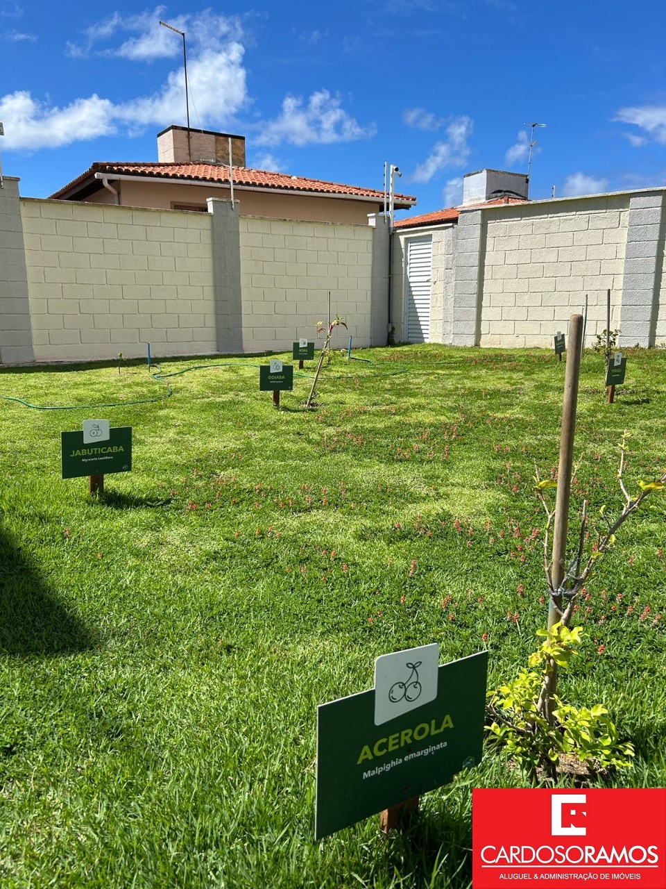 Apartamento - Buraquinho