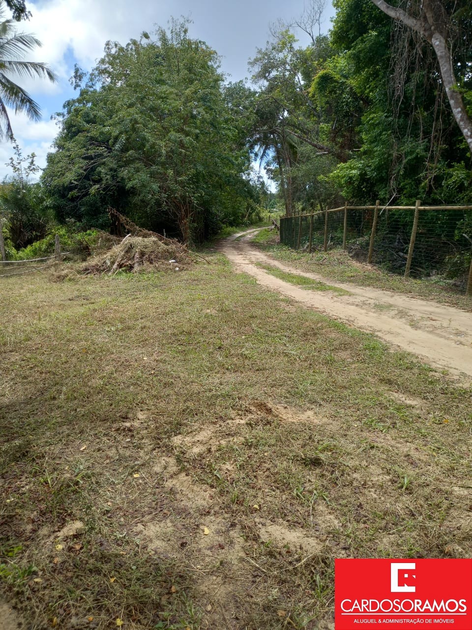 Terreno, 8600 m² - Foto 5