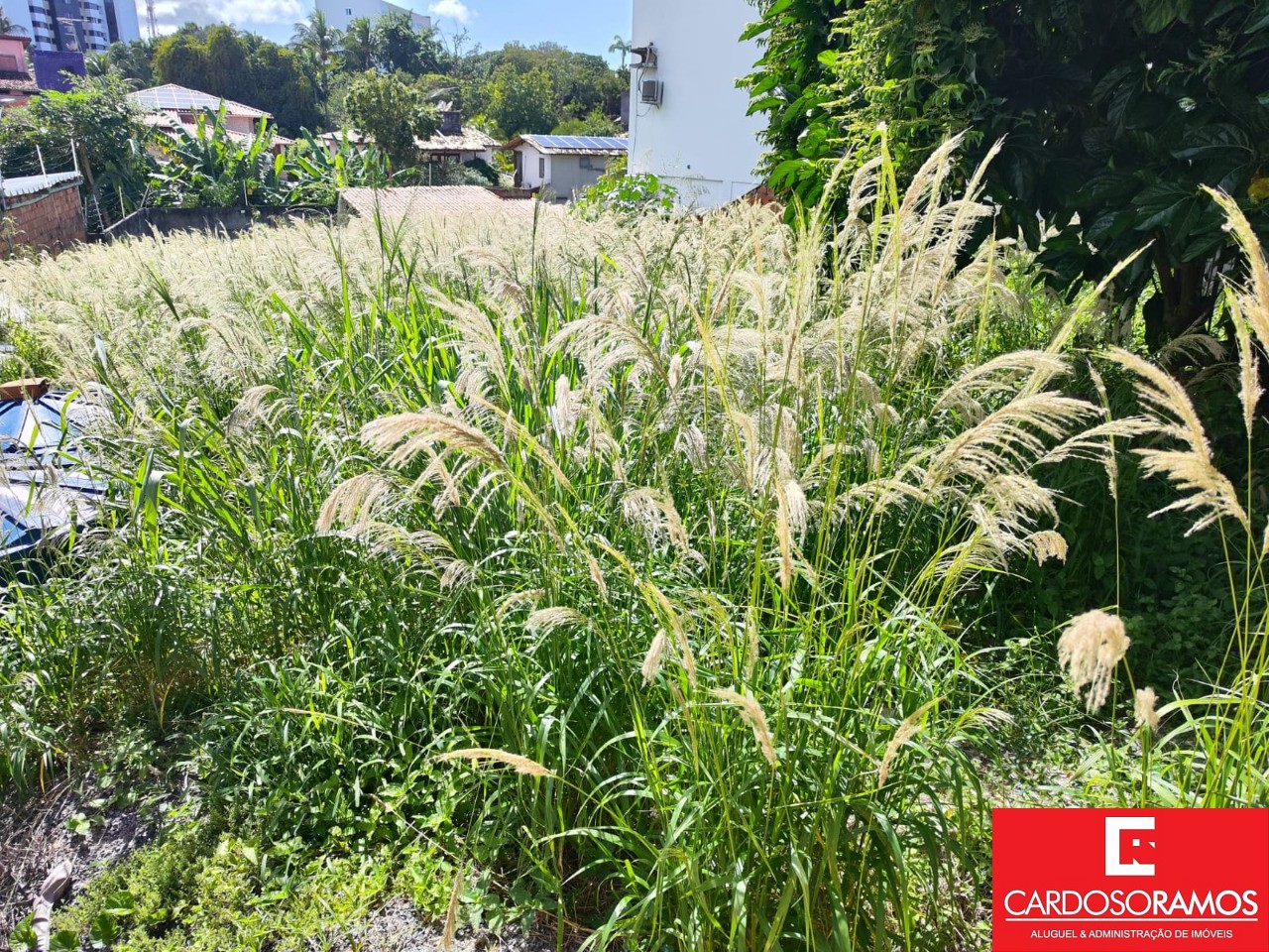 Terreno, 453 m² - Foto 3