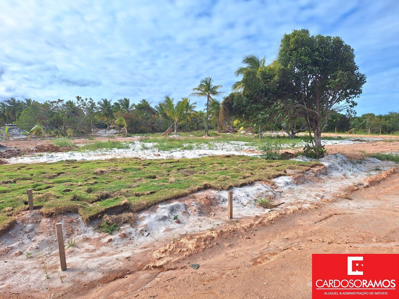 Terreno - Catu de abrantes (abrantes)
