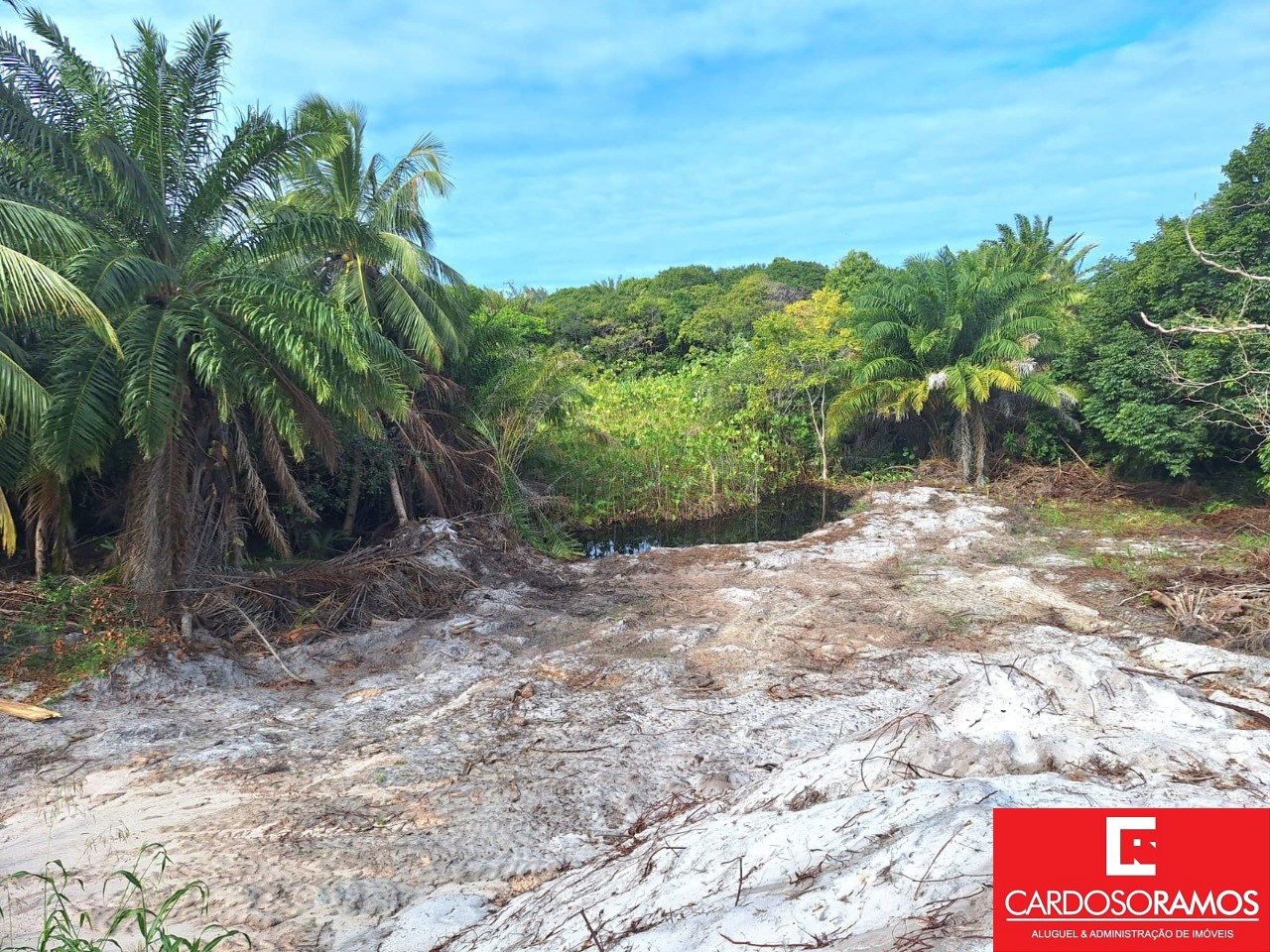 Terreno - Catu de abrantes (abrantes)