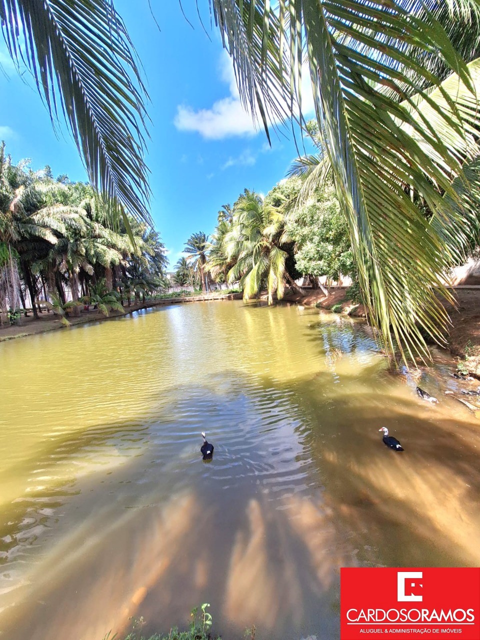 Terreno, 464 m² - Foto 11