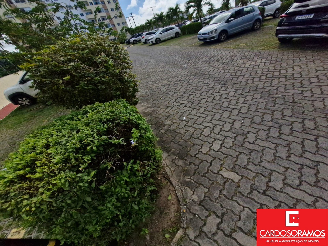 Apartamento - Centro