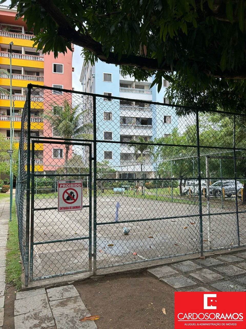 Apartamento - Centro