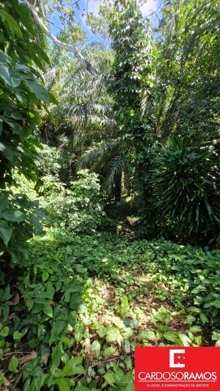 Terreno, 8900 m² - Foto 4