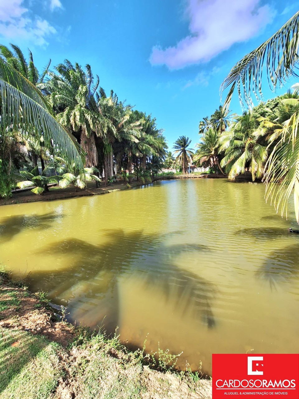 Terreno, 464 m² - Foto 12