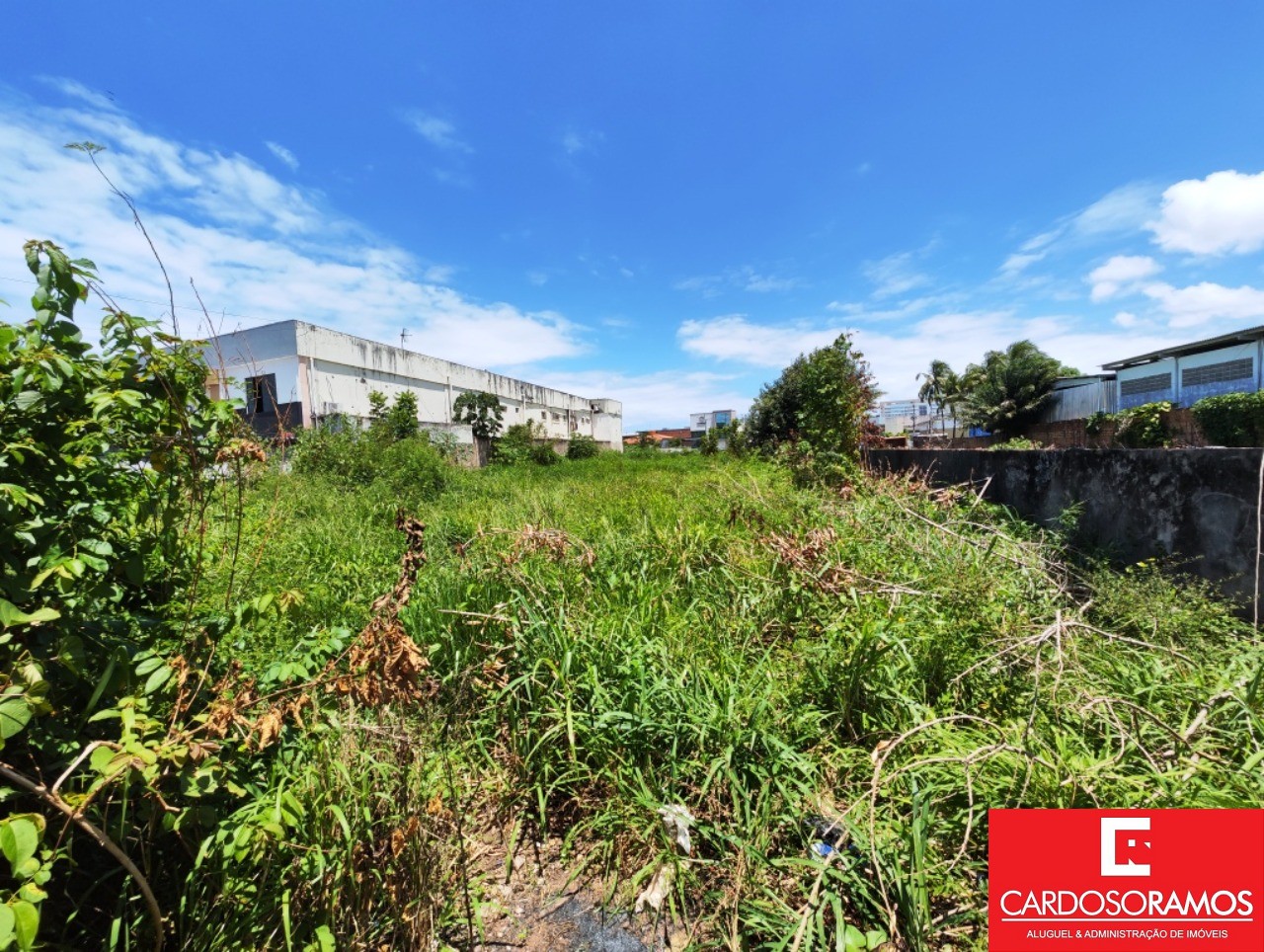 Terreno - Pitangueiras