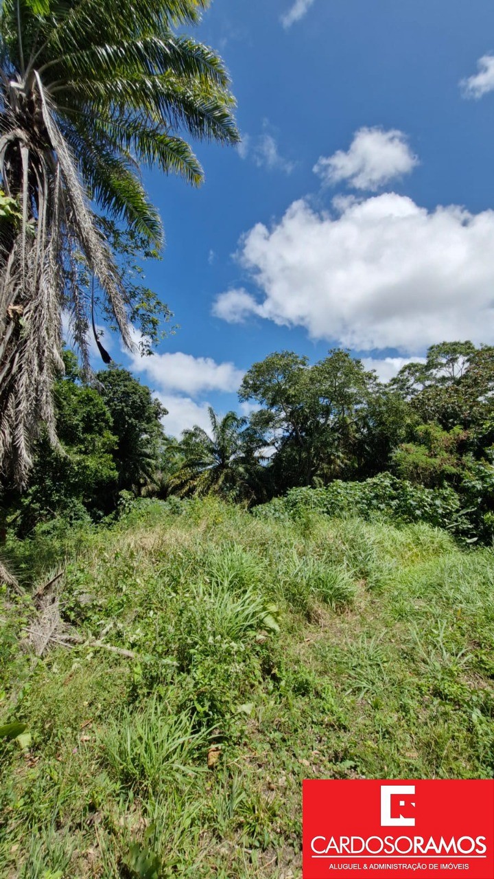 Terreno, 8900 m² - Foto 5