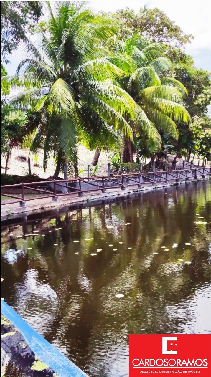 Chácara, 6 quartos, 3000 m² - Foto 6