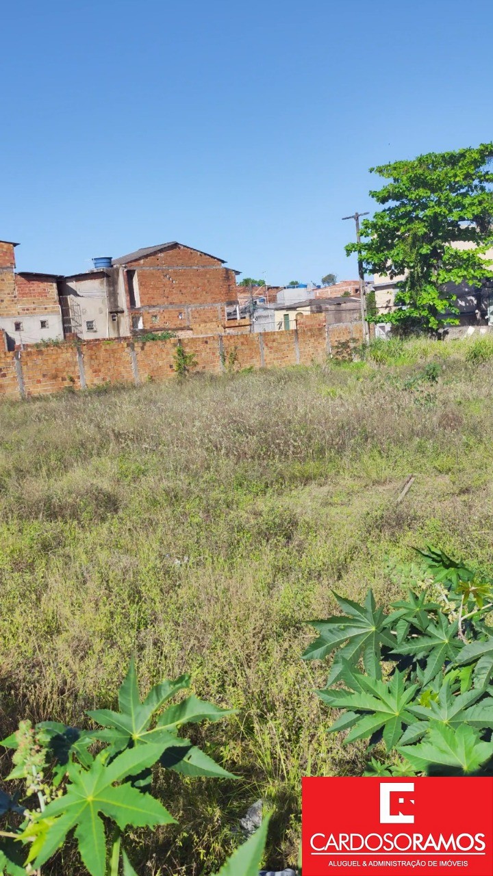 Terreno, 675 m² - Foto 6