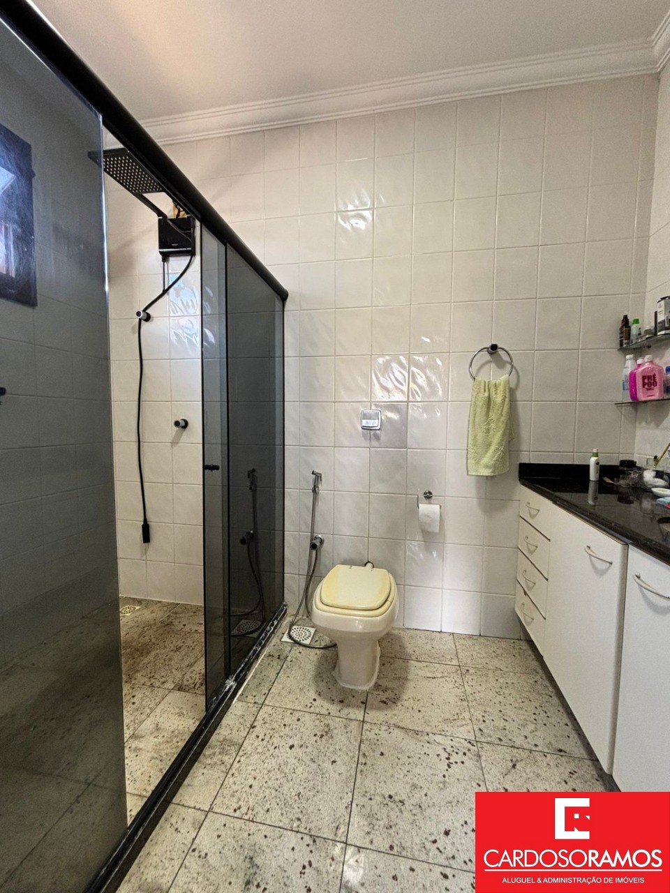 Casa, 4 quartos, 260 m² - Foto 9