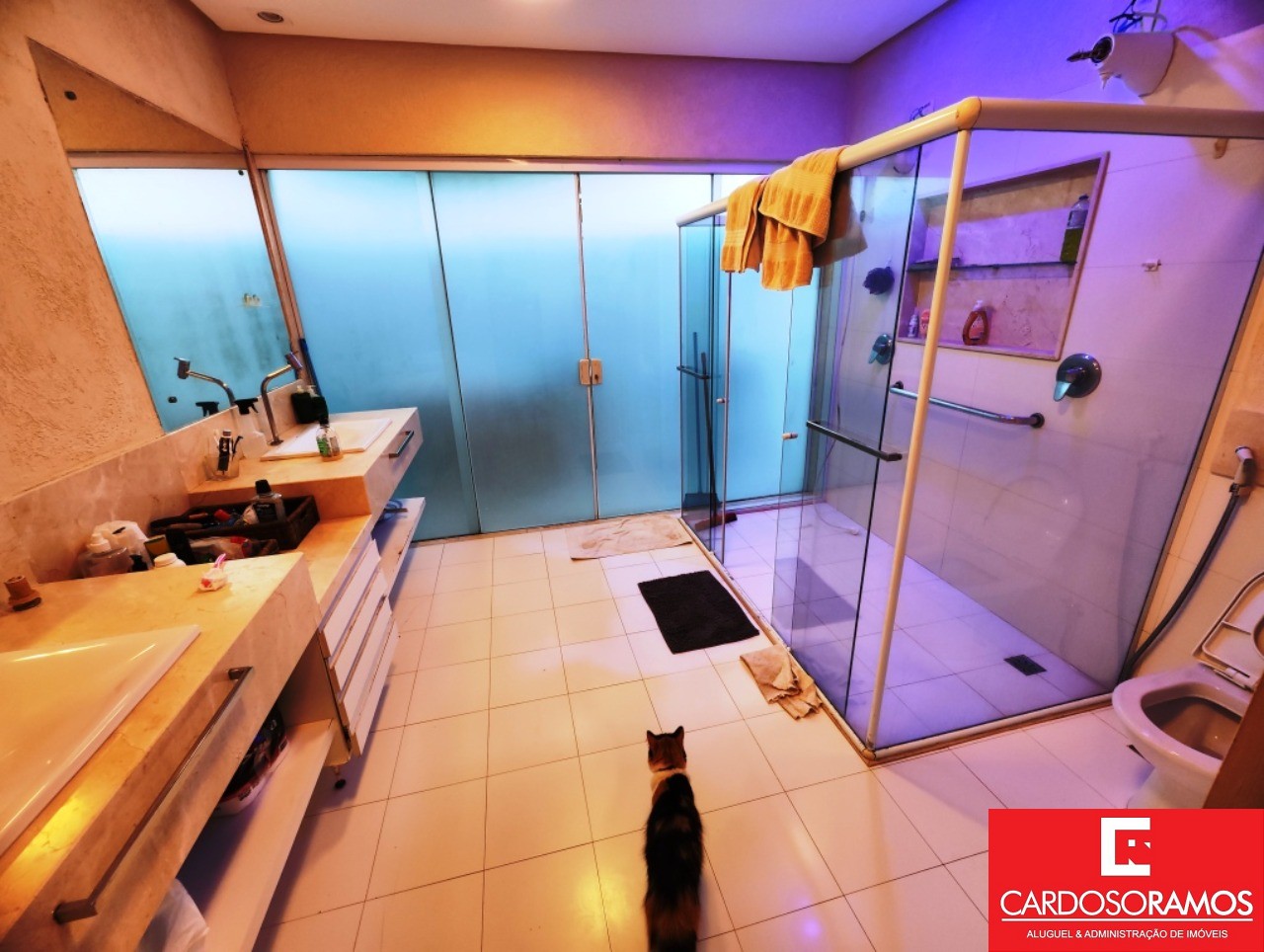 Casa, 4 quartos, 400 m² - Foto 11