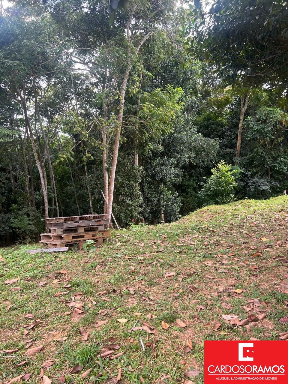 Terreno, 5855 m² - Foto 11