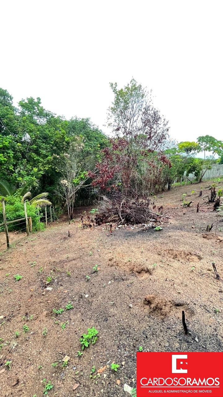 Terreno, 1000 m² - Foto 5