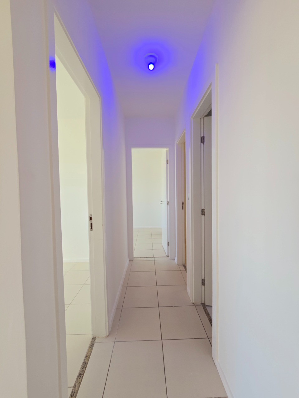 Apartamento, 3 quartos, 67 m² - Foto 5