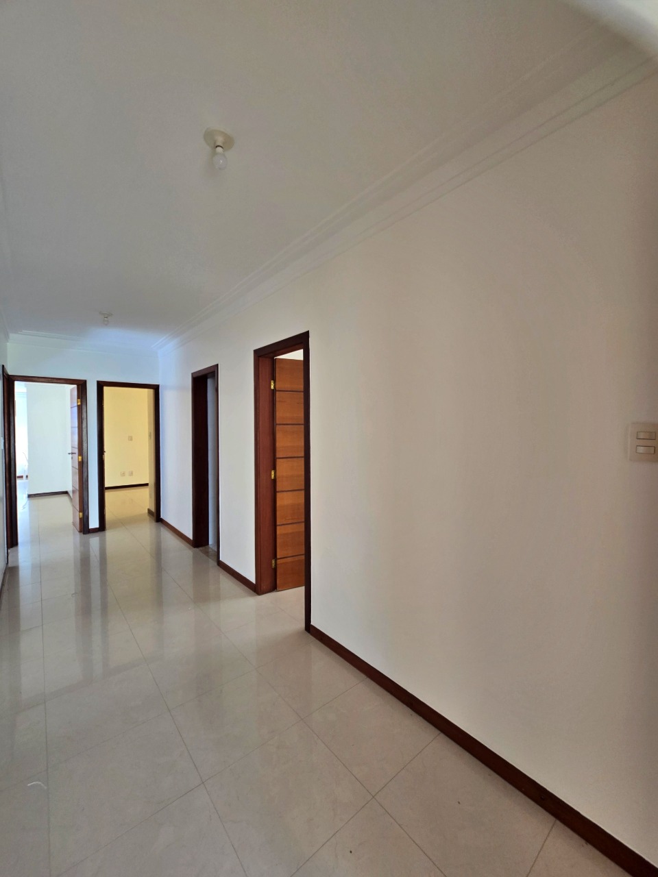 Casa, 4 quartos, 360 m² - Foto 6
