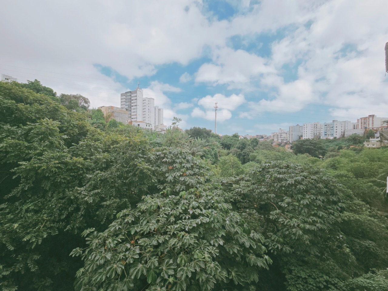 Apartamento, 3 quartos, 89 m² - Foto 13