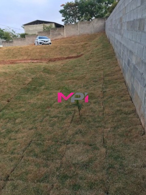 Terreno à venda, 1000m² - Foto 3