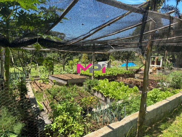 Sítio à venda com 3 quartos, 700m² - Foto 45