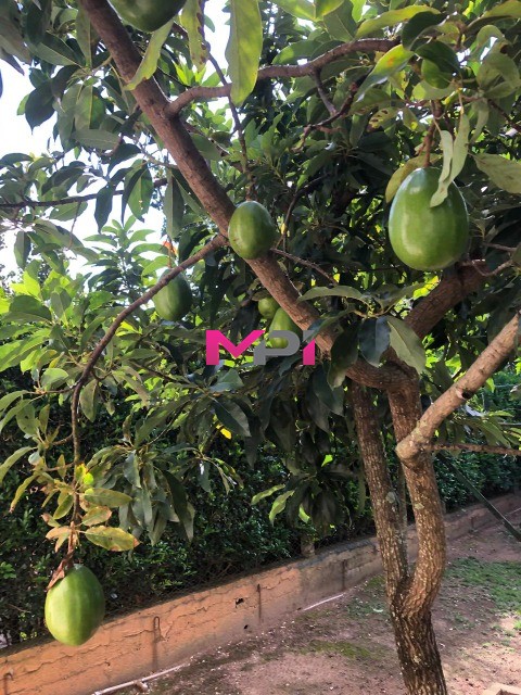 Casa de Condomínio, 3 quartos - Foto 16