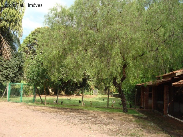 Fazenda, 49 hectares - Foto 38