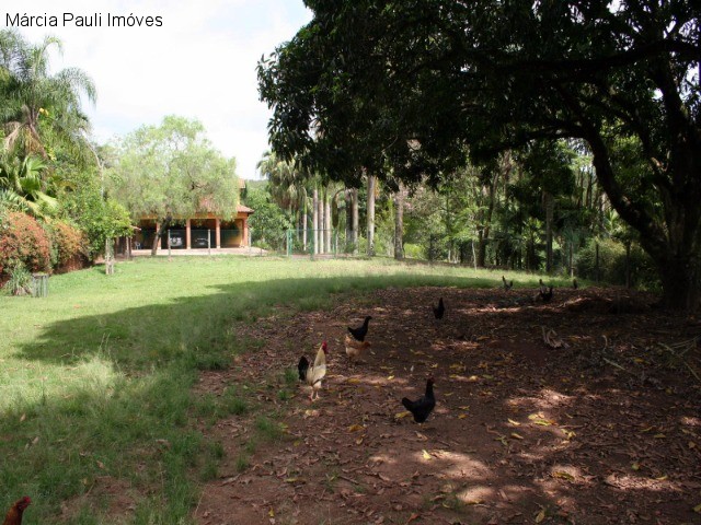 Fazenda, 49 hectares - Foto 39