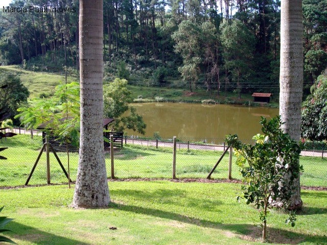 Fazenda, 49 hectares - Foto 41